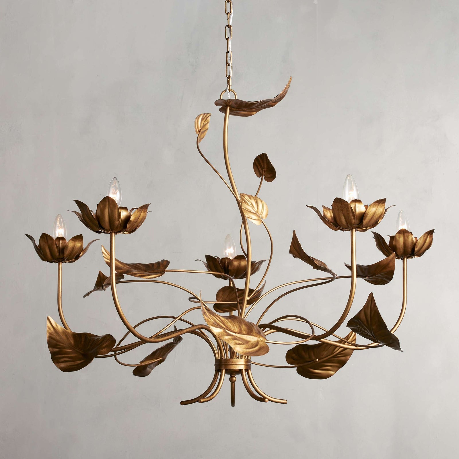 Clear Iron chandelier - Nerea Wisp for dining room view 1