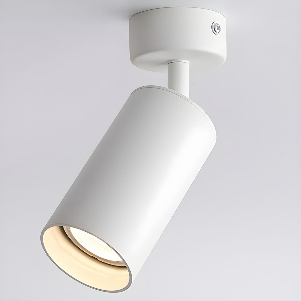 Arlo Accent Spotlight