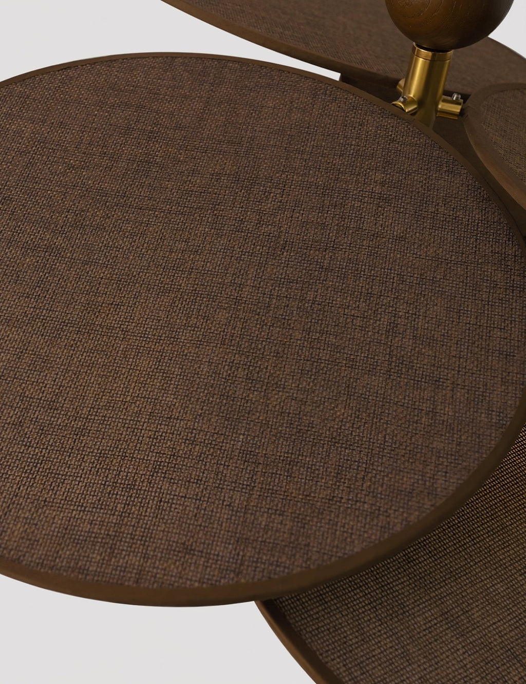 Aurelian Bloom Ceiling Light